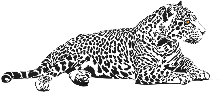 Cool image of Jaguar