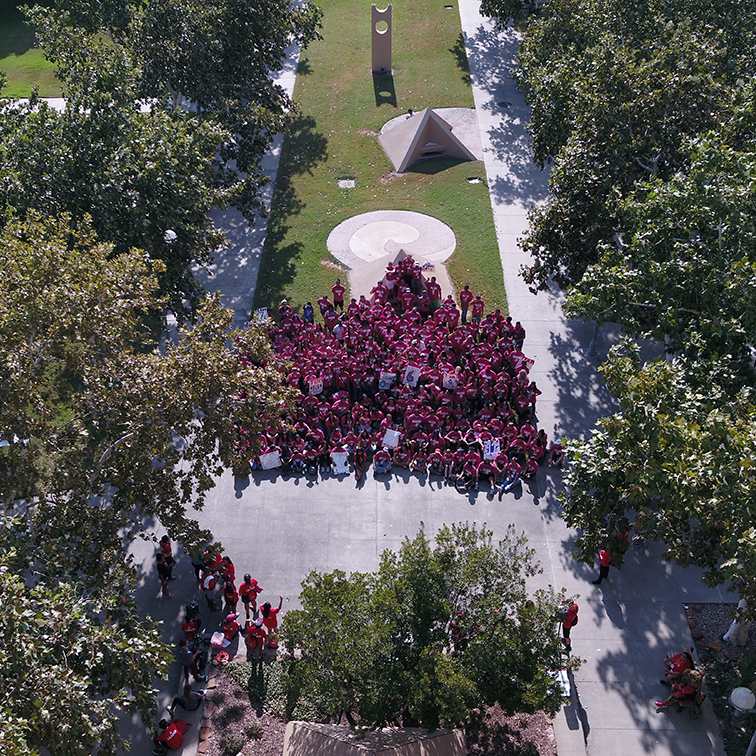 aerial view of pyramid row